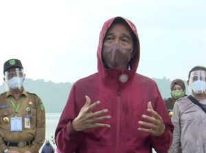 Diguyur Hujan, Jokowi Basah-basahan Tanam Mangrove di Pantai Kepri