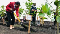 Foto: Lewat program itu, Jokowi semakin yakin dengan komitmen perubahan iklim dunia. Ditargetkan pada 2021 ini ada 34 ribu haktare lahan direhabilitasi. (Laily Rachev - Biro Pers Sekretariat Presiden)