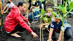Momen Jokowi Tanam Mangrove Sambil Nyeker di Bengkalis