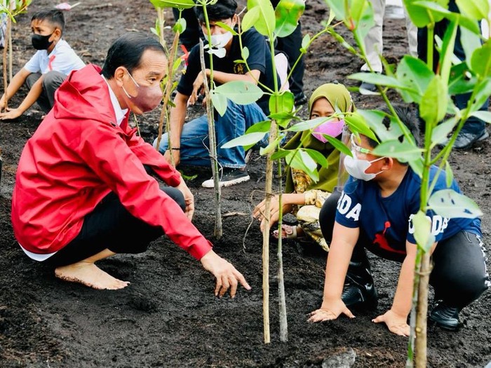 Presiden Jokowi menanam mangrove di Bengkalis, Riau. Presiden Jokowi menanam mangrove di Bengkalis, Riau.