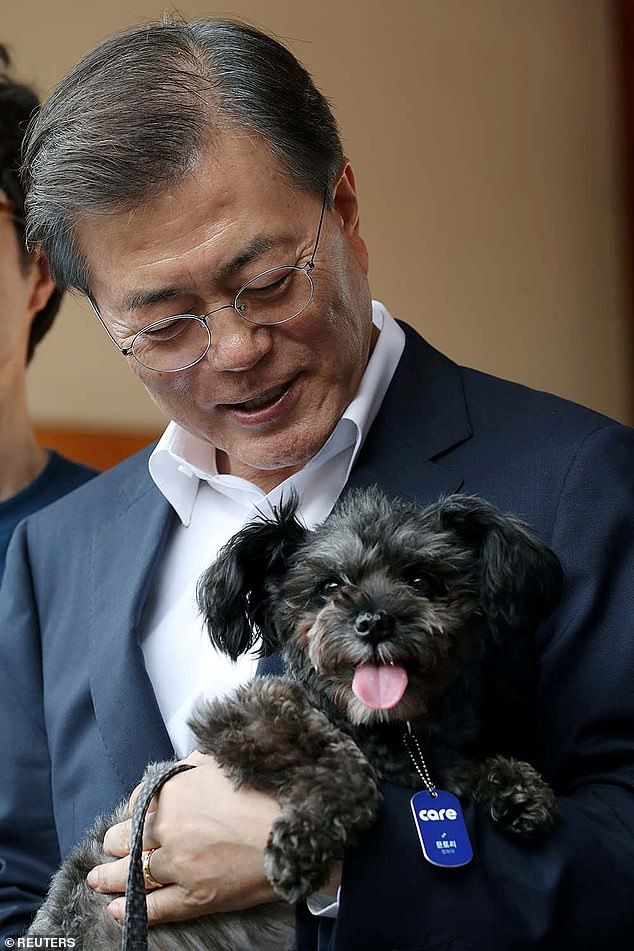 1 Juta Ekor Anjing Dikonsumsi Tiap Tahun, Presiden Korsel Larang Konsumsi Anjing