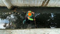 Sampah-sampah yang tersangkut akan diangkut ke daratan dan dibuang. Hal itu dilakukan untuk memperlancar aliran air.