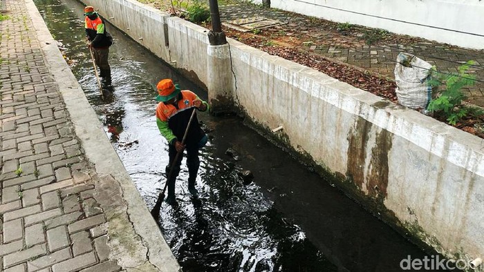 Memasuki musim hujan, petugas PPSU membersihkan sampah yang menyumbat saluran air di Jalan Letjend Soeprapto, Jakarta Pusat, Kamis (29/9/2021).