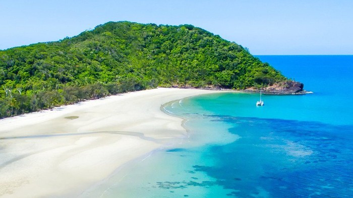 Daintree