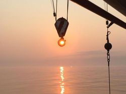 Deretan Foto Dijepret di Waktu Sangat Tepat, Ada yang Bikin Ngakak