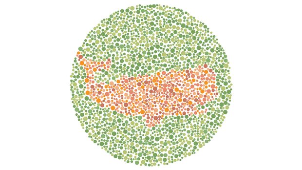 Gambar Hewan Ini Mustahil Ditebak Oleh Penyandang Buta Warna