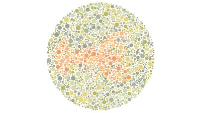 Gambar Hewan Ini Mustahil Ditebak Oleh Penyandang Buta Warna