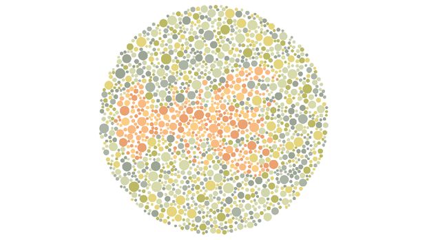 Gambar Hewan Ini Mustahil Ditebak Oleh Penyandang Buta Warna