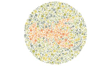 Gambar Hewan Ini Mustahil Ditebak Oleh Penyandang Buta Warna