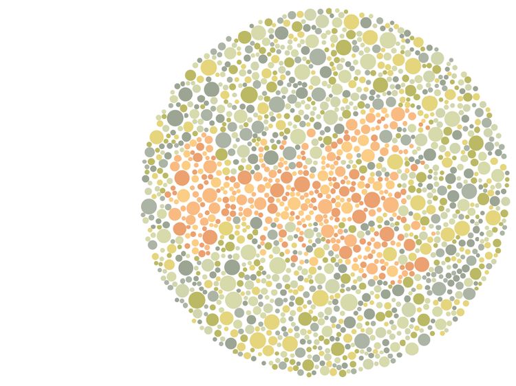 Gambar Hewan Ini Mustahil Ditebak Oleh Penyandang Buta Warna