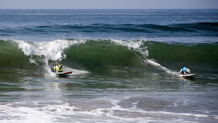 Gemasnya Anjing-anjing Ini Adu Surfing Dogs compete in the annual Surf City Surf Dog event, at Dog Beach in Huntington Beach, Calif., Saturday, Sept. 25, 2021. (AP Photo/Ringo H.W. Chiu)