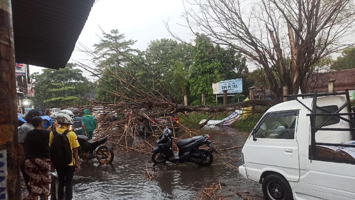 Pohon tumbang timpa mobil di Ciputat, Tangsel, Rabu (29/9/2021) pukul 15.00 WIB sore