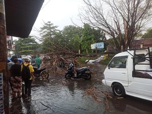 Pohon Tumbang Timpa Mobil di Ciputat, Lalin Sempat Macet