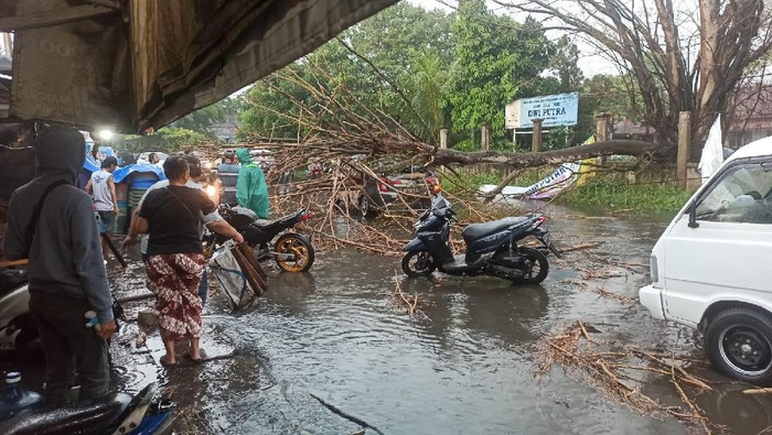 Pohon tumbang timpa mobil di Ciputat, Tangsel, Rabu (29/9/2021) pukul 15.00 WIB sore