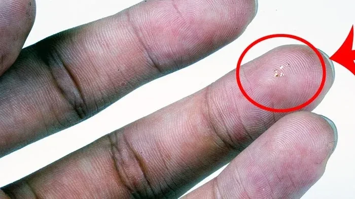 Penampakan microchip bersayap terkecil yang pernah dibuat manusia, tidak lebih besar dari butiran pasir.