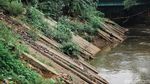 Normalisasi Ciliwung Mandek, Ini Buktinya!