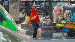 Potret Pilu Pedagang Wortel di Kebun Raya Bogor