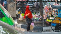 Sebelumnya pedagang wortel ini mendapat untung dari pengunjung yang ingin memberi makan rusa di Kebun Raya Bogor. Namun di masa pandemi ini, hasil penjualan wortel pun bisa dihitung dengan jari.