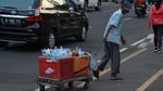 Potret Pilu Pedagang Wortel di Kebun Raya Bogor