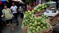 Lima fasilitas umum itu diantaranya, Sentra Primer Barat, Taman Sentra Flora dan Fauna Semanan, Sentra Promosi dan Pemasaran Ikan Hias (SPPIH) Slipi, Kota Tua dan Pecinan Glodok. CNN Indonesia/Safir Makki