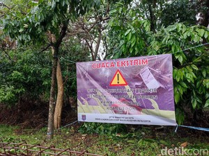 Waspada Cuaca Ekstrem, Warga Depok Diminta Tak Parkir-Jualan di Bawah Pohon