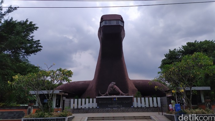 TMII
