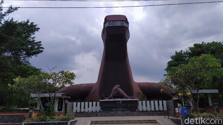 TMII TMII