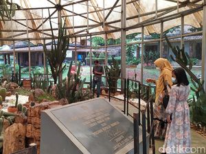 Tak Ada Pengunjung, Satwa di TMII Beranak Pinak