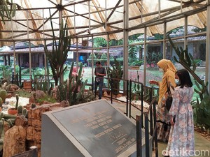 Tak Ada Pengunjung, Satwa di TMII Beranak Pinak