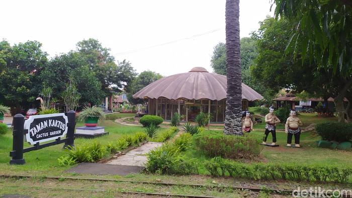 TMII