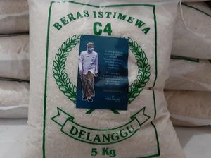 Kata Pakar Soal Gibran Duplikasi Gaya Jokowi Bagi-bagi Beras Saat Jadi Walkot