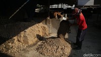 Untuk usaha penggemukan ini, Muslimin tidak membeli sapi anakan, melainkan sapi dewasa berusia sekitar 2 tahun. Sapi dibuat gemuk dengan makanan yang diracik khusus plus diberi suplementasi vitamin. Kemudian sapi dijual ketika bobotnya sudah memenuhi standar.