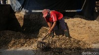 Setiap sapi di peternakan muslimin diberikan santapan sebanyak 10 kg setiap kali makan. Sapi-sapi dibuat kenyang setiap pagi dan sore hari.