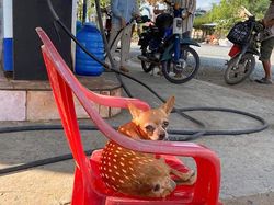Foto Bayangan Ini Bikin Mata Terkecoh Sekaligus Terkesima