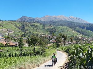 Kabar Gembira Nih, Gunung Merbabu Buka Lagi Dua Jalur Pendakian!