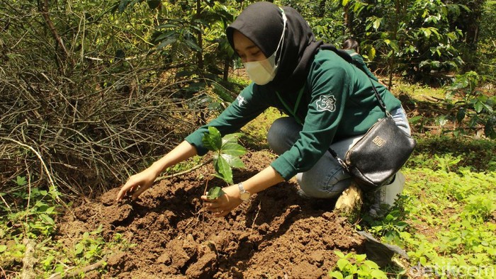 Jelajah Kopi, Ajang Kenalkan Kopi Khas Bandung Selatan