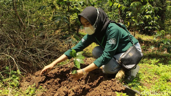Jelajah Kopi, Ajang Kenalkan Kopi Khas Bandung Selatan