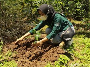 Jelajah Kopi, Ajang Kenalkan Kopi Khas Bandung Selatan