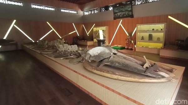 Ada yang berbeda di Museum R.A Kartini, Jepara. Di sana ada koleksi fosil yang diberi nama Joko Tuo. Koleksi itu berupa kerangka ikan raksasa yang berukuran panjang 16 meter. (Dian Utoro Aji/detikTravel)
