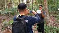 Kemitraan Kehutanan merupakan salah satu skema Perhutanan Sosial yang menjadi kebijakan pemerintah dalam UU Cipta Kerja. Ada juga tujuh Kelompok Tani Hutan tersebut yaitu Bukit Jaya, Gading Saiyo Lestari, Lestari Rimba Makmur, Lestari Rimba Mulya dan Lestari Rimba Sejahtera, Anugrah Rimba Lestari dan Karang Indah Lestari yang saat ini tengah mengikuti verifikasi teknis.