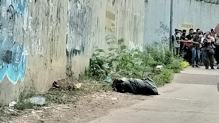 Penemuan mayat anjing di pinggir Kali Inspeksi, Tanjung Duren, Jakbar