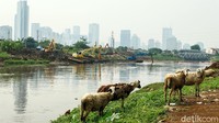 Gerebek lumpur digelar untuk mengurangi volume air pada saat musim hujan pada sungai.
