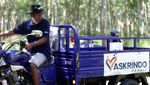 Dorong Produktivitas Kelompok Tani Hutan