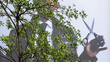 Will Smith siap memangkas. Foto: Edas Wong via Sadanduseless