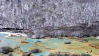 Tahun 1992 UNESCO menobatkan Huanglong Scenic Area sebagai Situs Warisan Budaya Dunia. (Getty Images/iStockphoto)