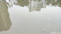 Di Ancol, kami mendeteksi konsentrasi parasetamol 420 ng/L. Konsentrasi yang dilaporkan pada kedua situs ini tinggi dibandingkan dengan data lain yang dilaporkan, kata laporan penelitian. 