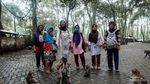 Makam Keramat Solear dan Monyet Ekor Panjang
