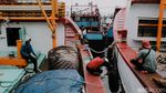 Nelayan Jakarta Ramai-ramai Mogok Melaut, Ada Apa?
