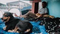 Dengan terbitnya aturan ini, kenaikan PNBP untuk para nelayan mengalami kenaikan berkisar 600 persen dari tarif biasanya.