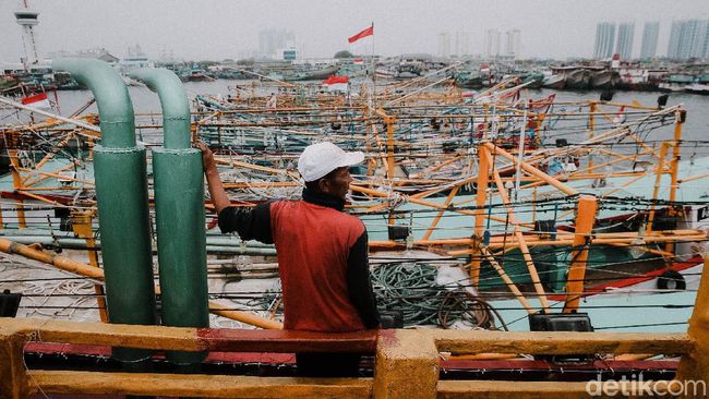 Nelayan Jakarta Ramai-ramai Mogok Melaut, Ada Apa?